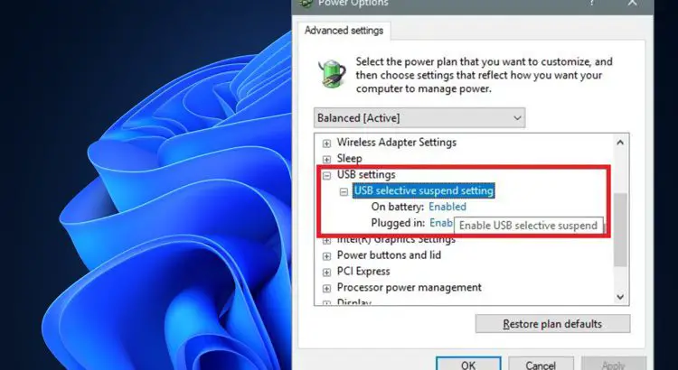 How to fix USB selective suspend Windows 11